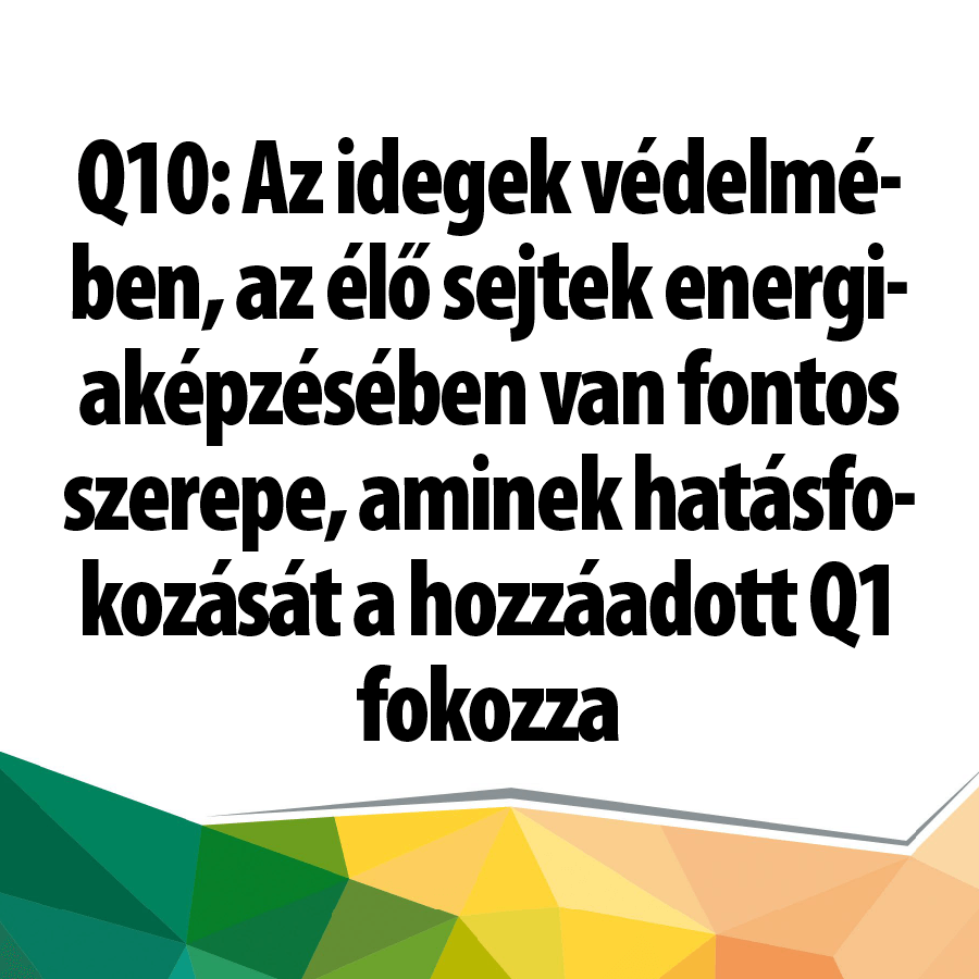 Q1 + Q10