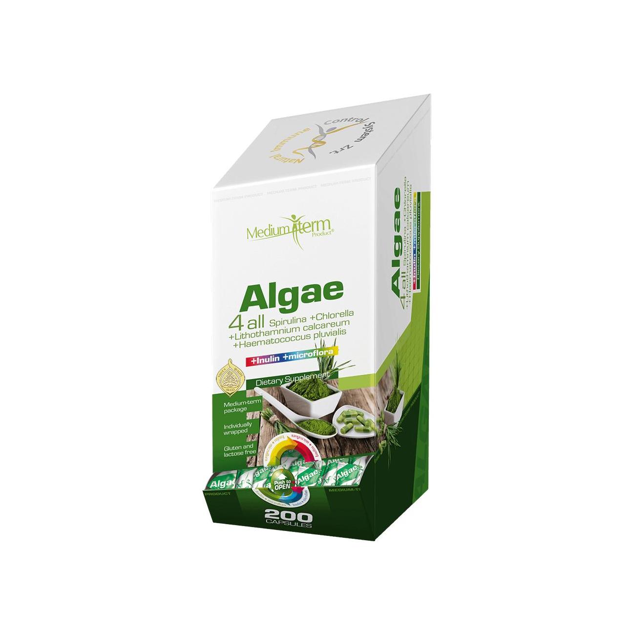 Algae 4 All